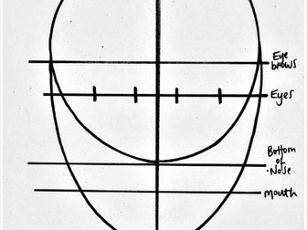 Proportions of the Human Face