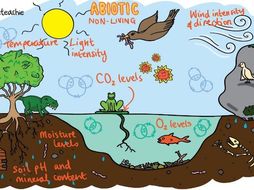 BIOTIC AND ABIOTIC FACTORS Revision & Questions GCSE 9-1 Bio & Combined ...