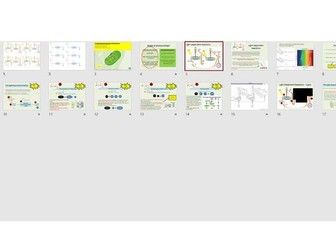 AQA A-Level Biology - Light Dependent & Independent Reaction 2x PowerPoints