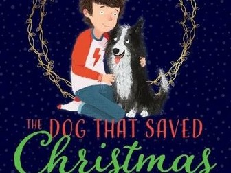 The Boy That Saved Christmas by Nicola Davies VIPERS / Reading Comprehension Questions