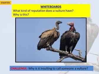 Outstanding lesson on poem 'Vultures'