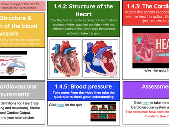 NCFE VCERT NEW SPEC UNIT 1 CARDIOVASCULAR SYSTEM REVISION/INDEPENDENT INTERACTIVE STUDY SHEET