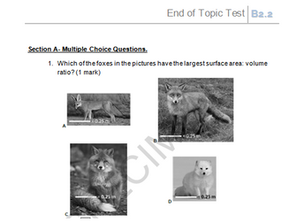 OCR Biology (Separate Science) GCSE B2.2. Challenges of size end of unit test with markscheme