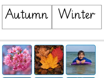 Year 1- Seasons Sorting