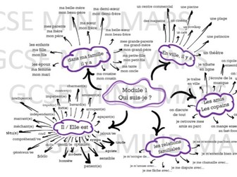 French GCSE Mind maps (module 1-6)