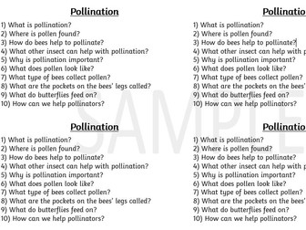 Bee Comprehension -Pollination