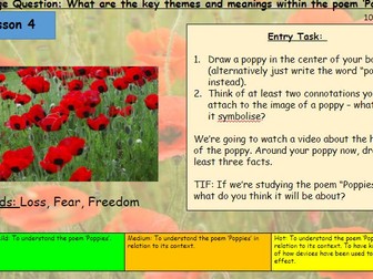'Poppies' - Differentiated Poetry Lesson