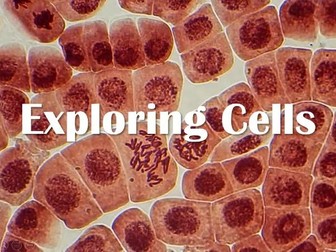 Exploring Cells PPT & Worksheet