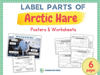 Tundra Biome - Label the Parts of Arctic Hare: Posters & Worksheets, Anatomy