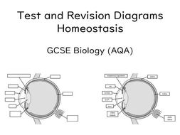 Diagrams Homeostasis GCSE Biology (AQA) | Teaching Resources