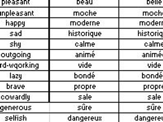 114 GCSE adjectives in topics