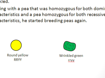 Dihybrid genetics