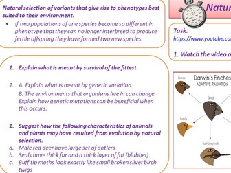 GCSE AQA B13 Variation and Evolution Powerpoints, exam questions and activities