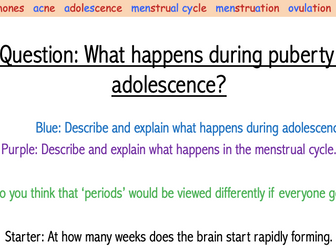 year 7 sexual reproduction in animals 7b teaching resources