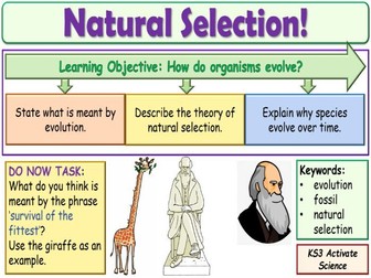 Natural selection KS3 Activate Science