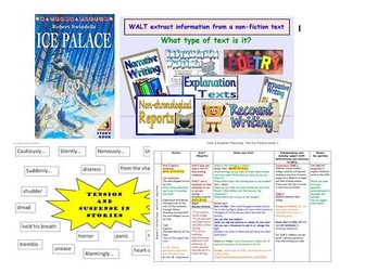 "The Ice Palace" by Robert Swindells:  Planning and Resources for year 4 English