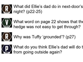 Diary of a Killer Cat Shared Reading SOW