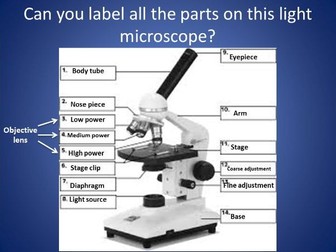 NEW GCSE BIOLOGY CELL STRUCTURE AND TRANSPORT