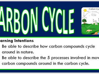 Carbon Cycle Powerpoint