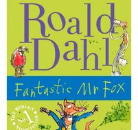 Fantastic Mr Fox by Roald Dahl - workbook
