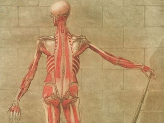 Edexcel GCSE Medicine revision resources