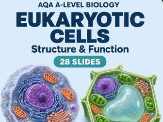 AQA A-Level Biology: Eukaryotic Cells – Structure & Function PowerPoint