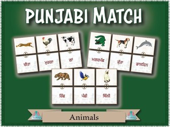 Punjabi Match - Animals