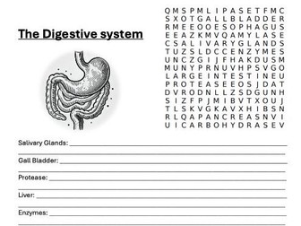 The Digestive System Key Terms with Mark Scheme