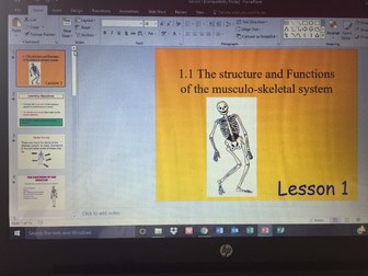 The structure and function of the musculo-skeletal system, lesson 1