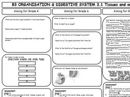 AQA GCSE 9-1 Biology B3 Revision Sheets (differentiated) | Teaching ...