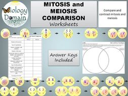 mitosis and meiosis similarities