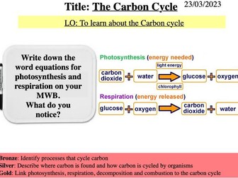 Year 8 Science Biology - Carbon Cylce