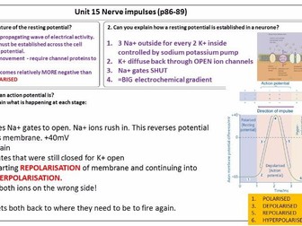 AQA Unit 15 Nervous Coordination & Muscles Revision Answers