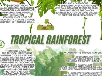 Tropical rainforest revision poster