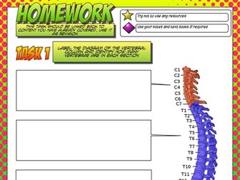 Gcse pe homework help