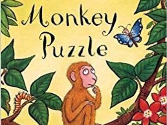 Year 1 English Planning Monkey Puzzle 4 Lessons