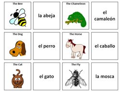 Animals: Spanish Vocabulary Card Sort | Teaching Resources