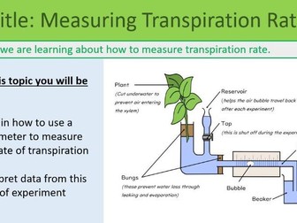 Transpiration Rate GCSE Biology