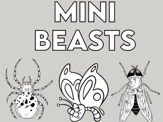 Counting Mini beasts to 12