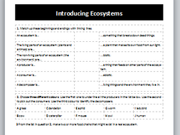 34 Components Of An Ecosystem Worksheet Answers - Worksheet Project List