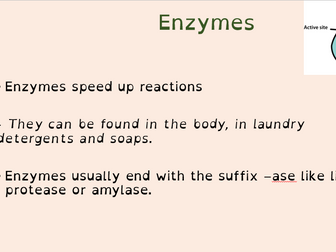 GCSE AQA Enzymes