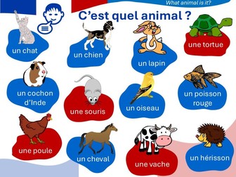 Bundle _ LES ANIMAUX _ pets and farm animals
