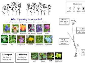 Y1 Plants science topic Knowledge Organiser
