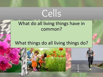 KS3 Cells - Full Topic Resources