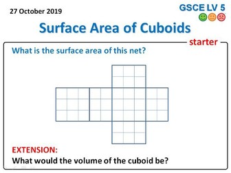 Nets of Cuboids Lessons & Worksheet | Teaching Resources