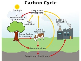 NEW AQA Topic 7 - Ecology Carbon and Water Cycle Combined Higher