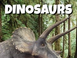 Dinosaurs Resource Bundle