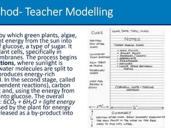 Tutor Time Study Skills Programme