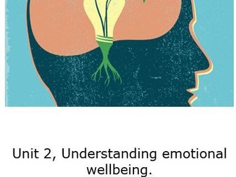 U2 - Understanding Emotional Wellbeing  work booklet