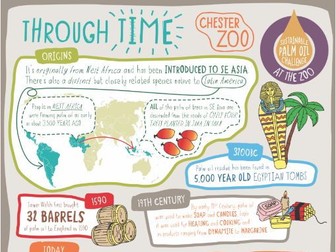 Learn at Chester Zoo - The History of Palm Oil